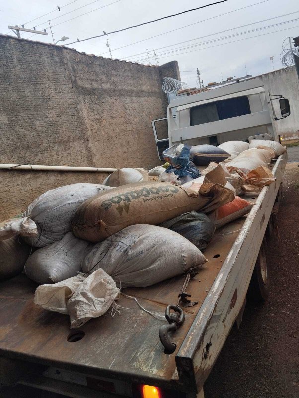 Polícia Civil realiza Operação Contra Furto de Café no Alto Paranaíba