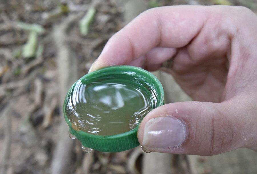 Vacinação contra a dengue em Patos de Minas alerta para baixa adesão