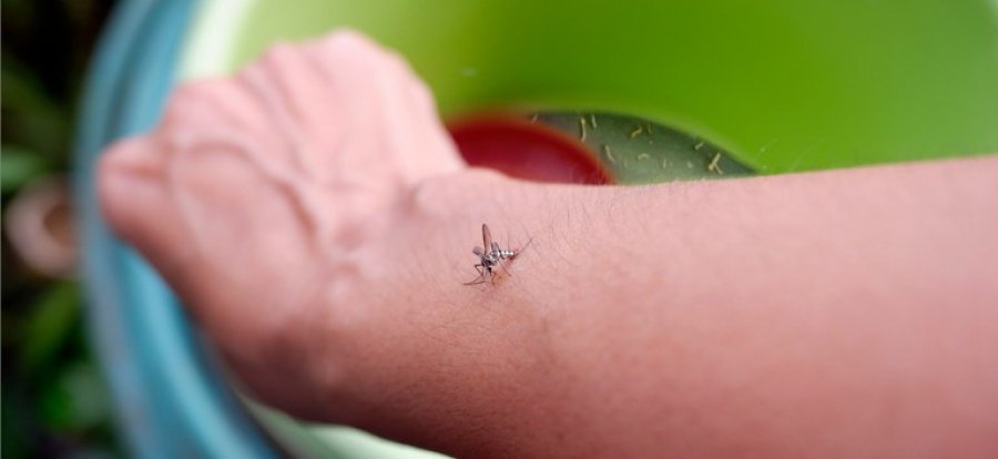 Ministério da Saúde lança campanha nacional de controle da dengue, zika e chikungunya