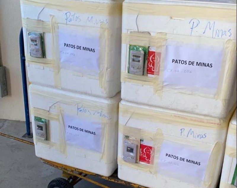 Vacinas contra Covid-19 chegam de avião em Patos de Minas