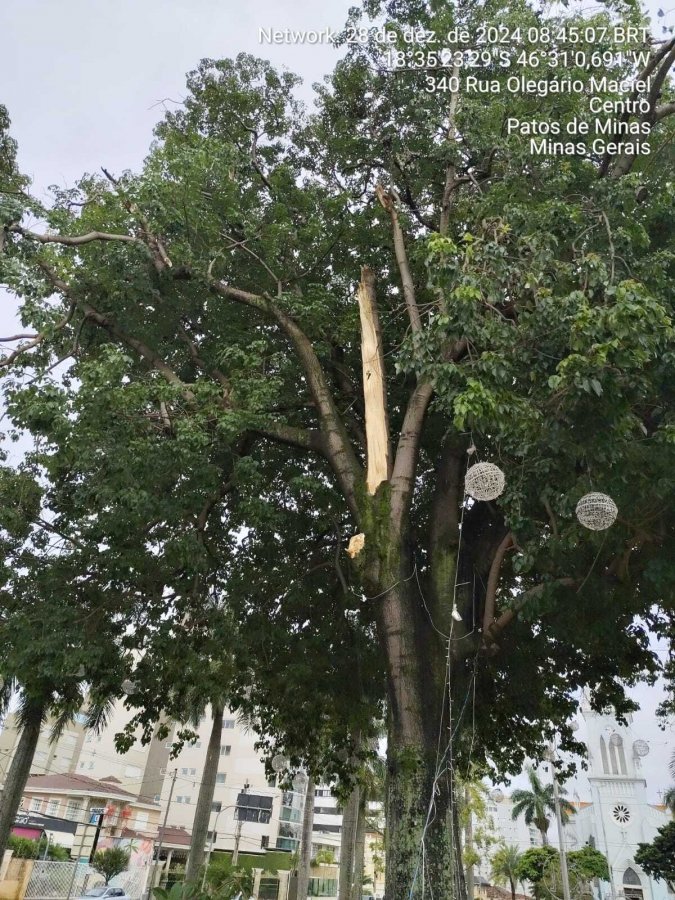 12º Btalhão de Bombeiros de Patos de Minas é chamado para atender queda de galho de árvore  no centro da cidade