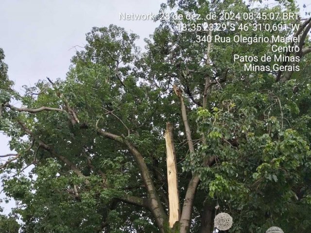 12º Btalhão de Bombeiros de Patos de Minas é chamado para atender queda de galho de árvore  no centro da cidade