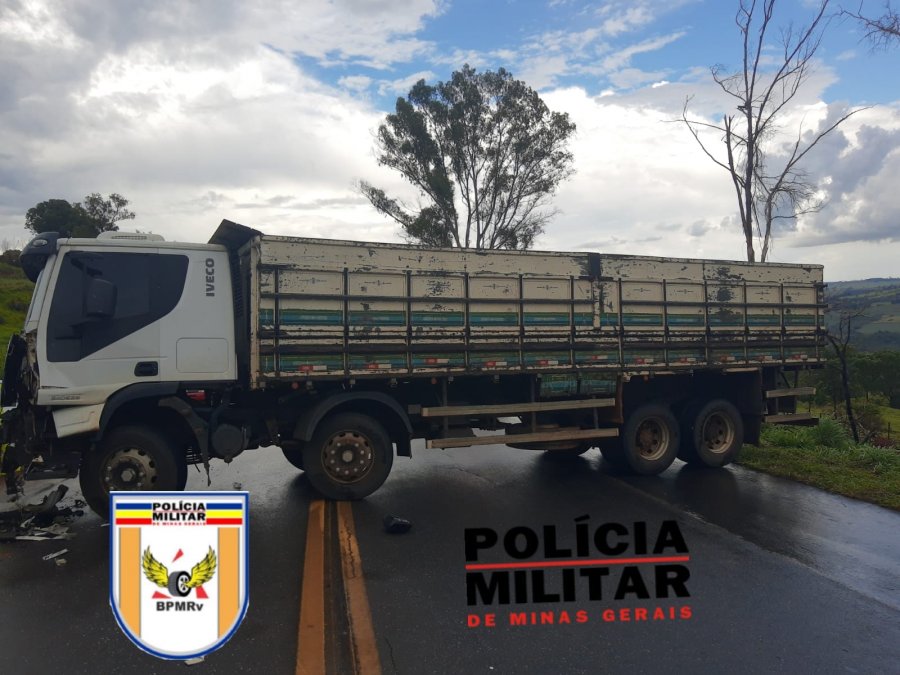 Acidente na MGC-354 envolve caminhão e carreta, mas animais saem ilesos