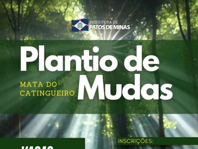 Diretoria de Meio Ambiente abre inscrições para plantio de mudas na Mata do Catingueiro