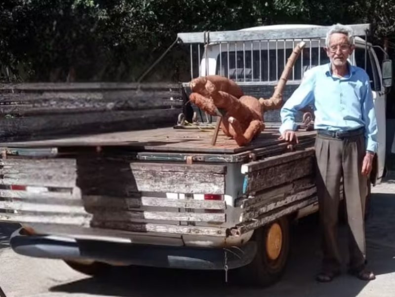 Mandioca gigante de 50 Kg é furtada em Patos de Minas