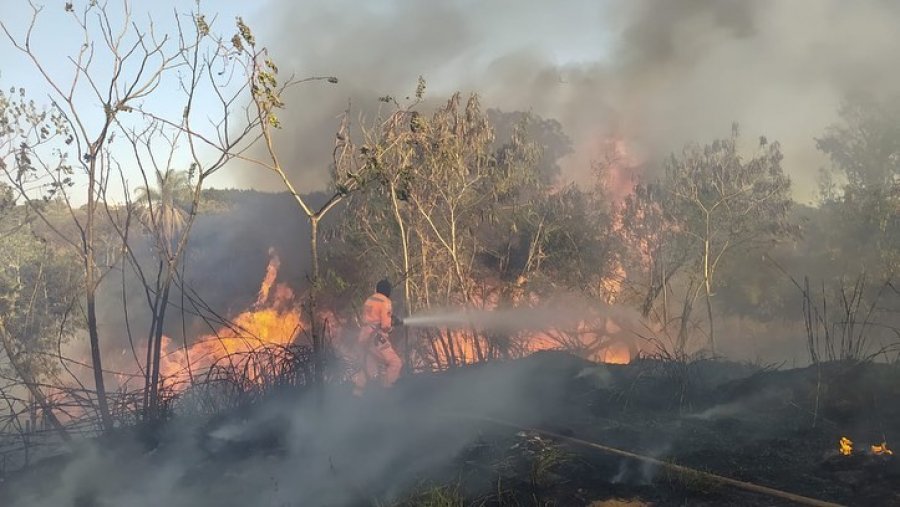 12º BBM atende mais uma ocorrência de incêndio em área de preservação ambiental