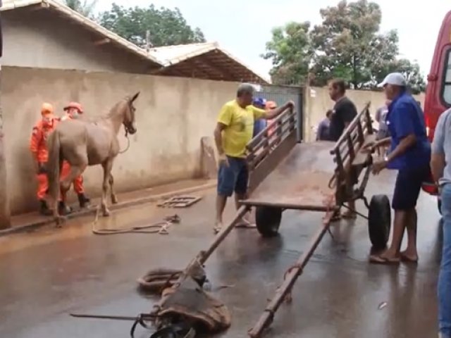 Mulher foi atingida por mula com carroça na ponte do Rio Paranaíba